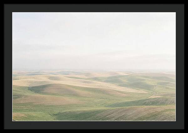 Vibrant Fields Of Palouse