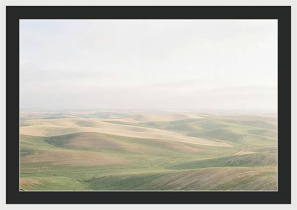 Vibrant Fields Of Palouse