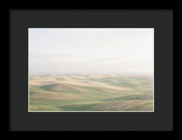 Vibrant Fields Of Palouse