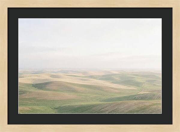 Vibrant Fields Of Palouse