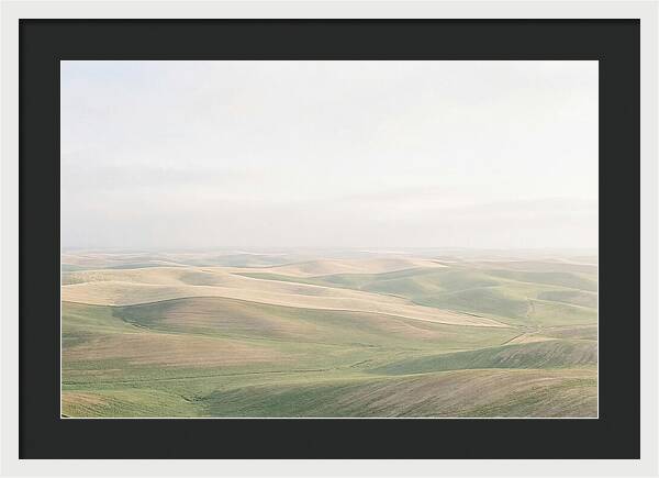 Vibrant Fields Of Palouse