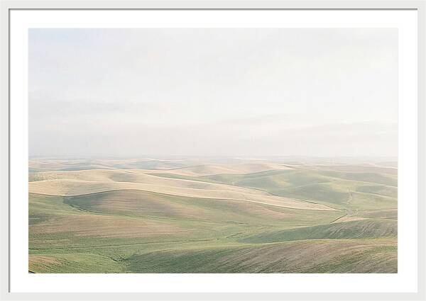 Vibrant Fields Of Palouse