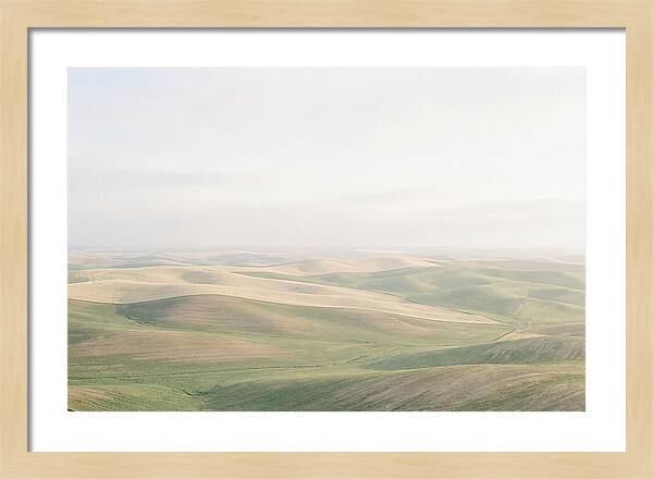 Vibrant Fields Of Palouse