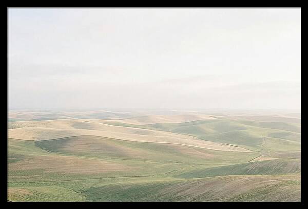 Vibrant Fields Of Palouse