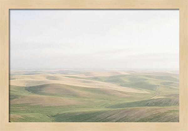 Vibrant Fields Of Palouse