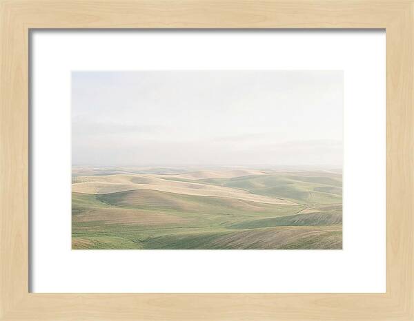 Vibrant Fields Of Palouse