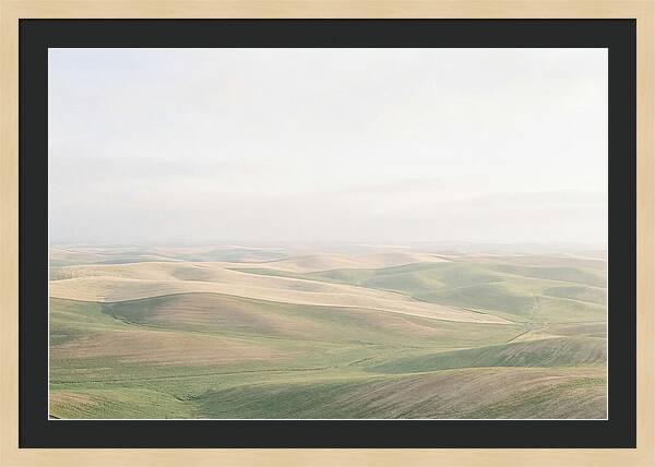 Vibrant Fields Of Palouse
