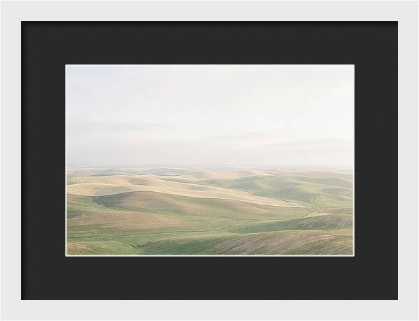 Vibrant Fields Of Palouse