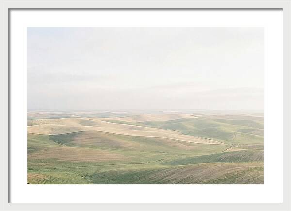 Vibrant Fields Of Palouse