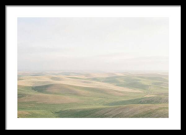 Vibrant Fields Of Palouse