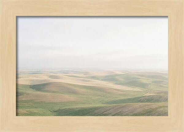 Vibrant Fields Of Palouse