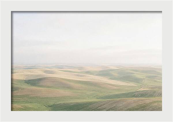 Vibrant Fields Of Palouse