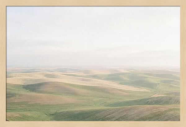 Vibrant Fields Of Palouse