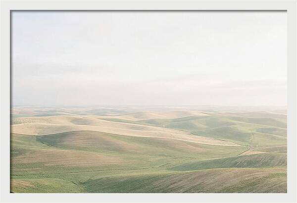 Vibrant Fields Of Palouse