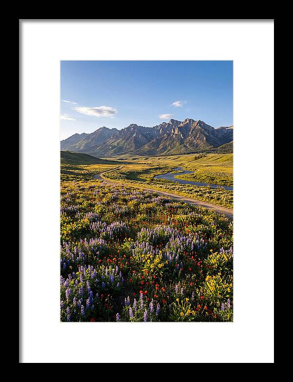 Vibrant Floral Tapestry
