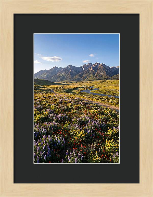 Vibrant Floral Tapestry