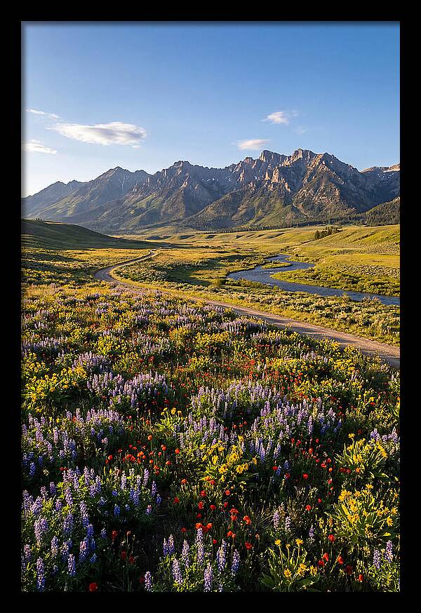 Vibrant Floral Tapestry