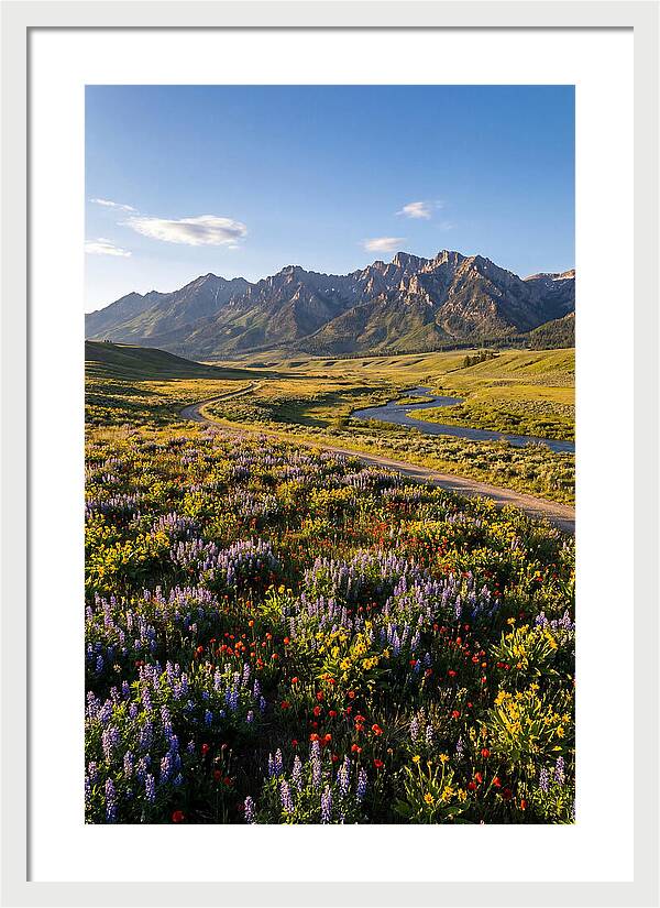 Vibrant Floral Tapestry