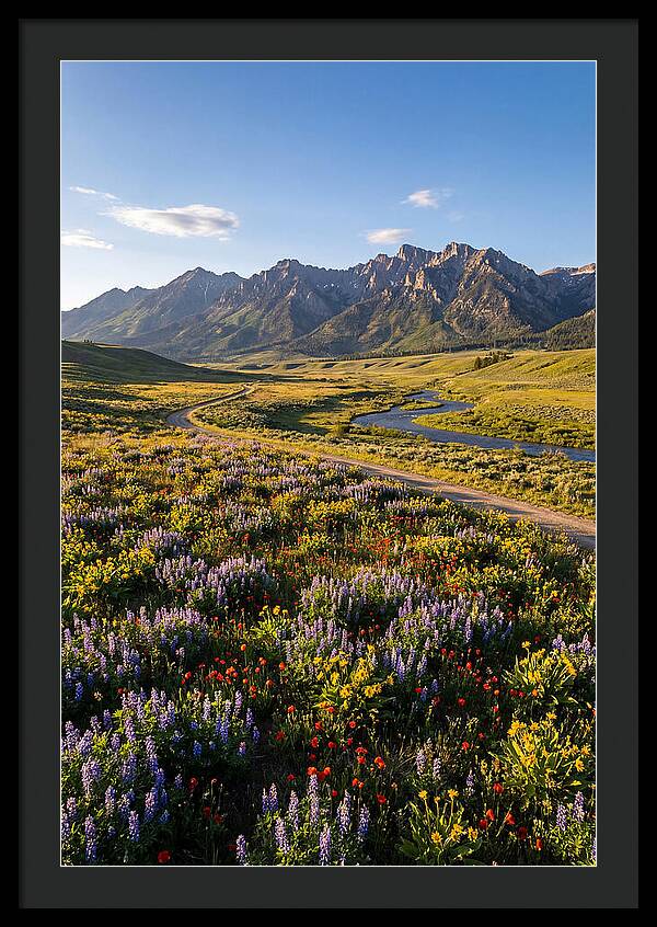 Vibrant Floral Tapestry