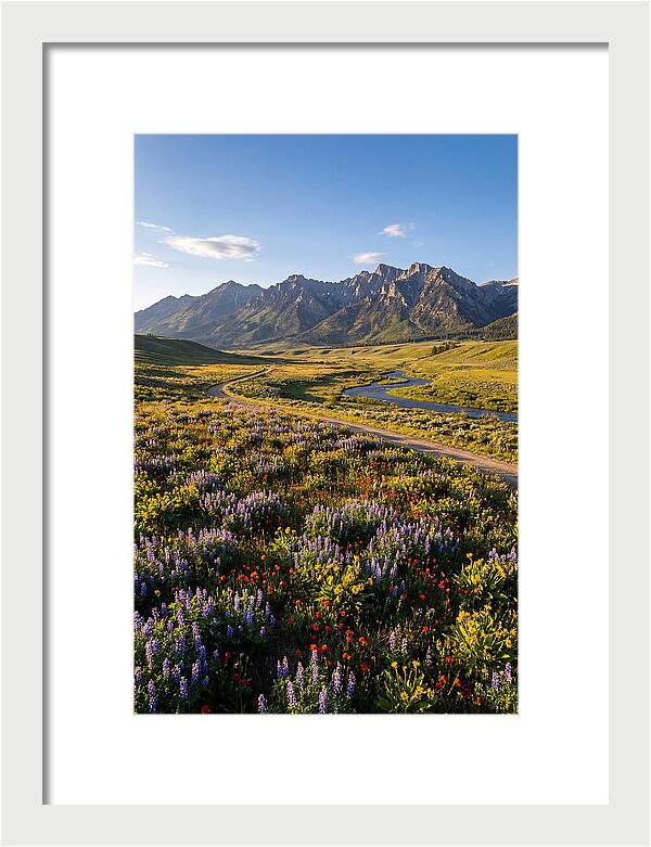 Vibrant Floral Tapestry
