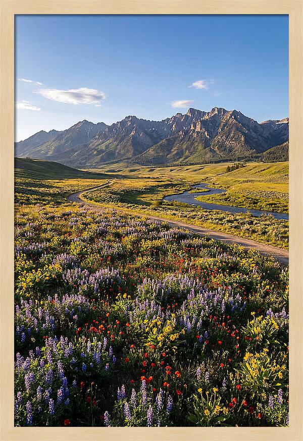 Vibrant Floral Tapestry