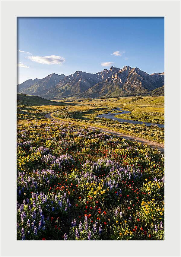 Vibrant Floral Tapestry