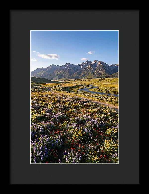 Vibrant Floral Tapestry