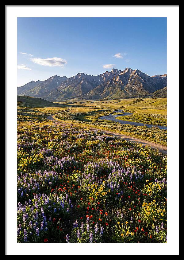 Vibrant Floral Tapestry