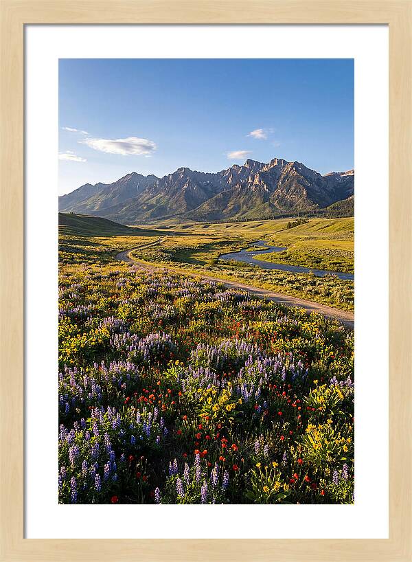 Vibrant Floral Tapestry