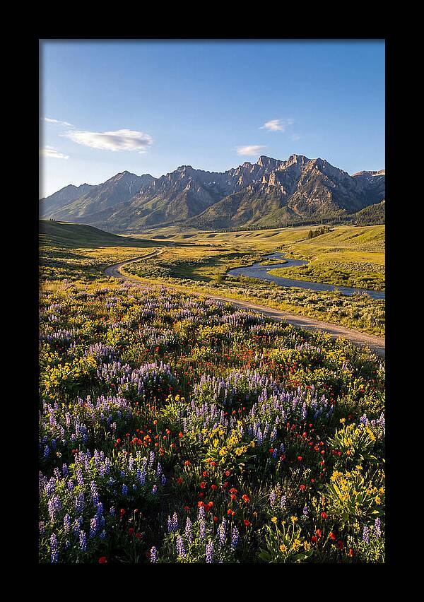 Vibrant Floral Tapestry