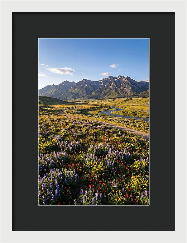 Vibrant Floral Tapestry