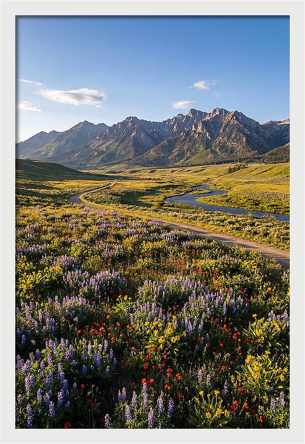 Vibrant Floral Tapestry