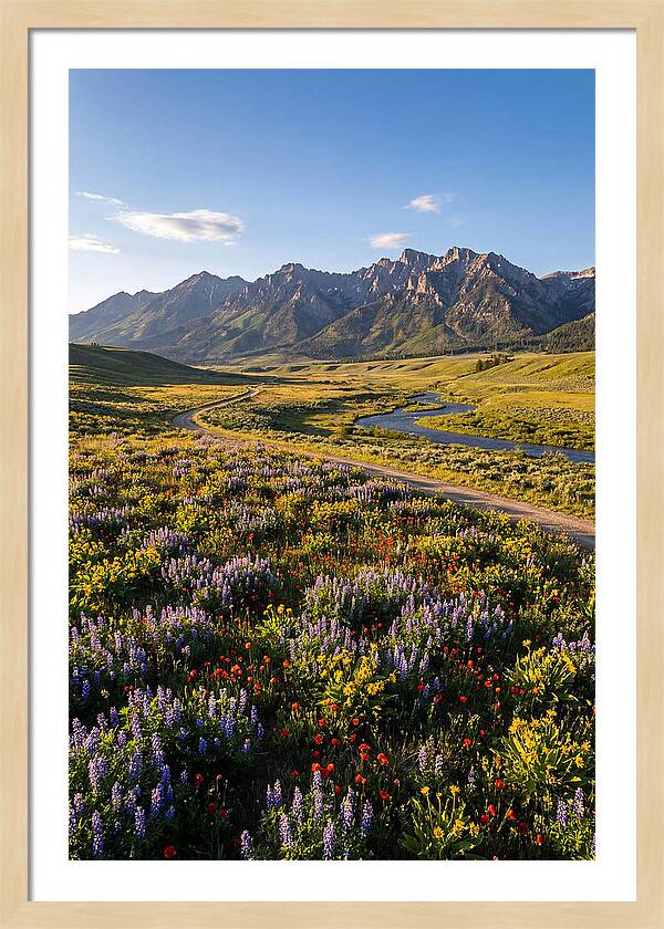 Vibrant Floral Tapestry