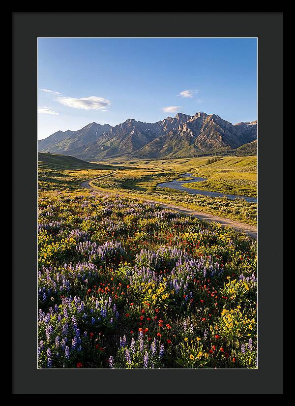 Vibrant Floral Tapestry