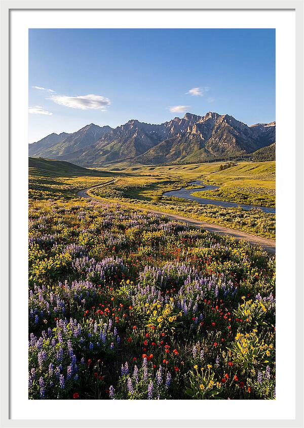 Vibrant Floral Tapestry