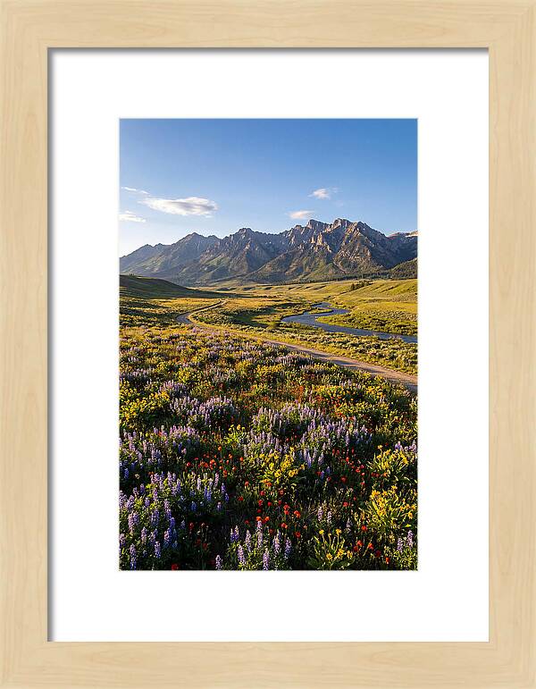 Vibrant Floral Tapestry