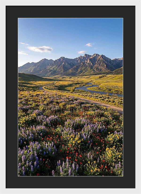 Vibrant Floral Tapestry