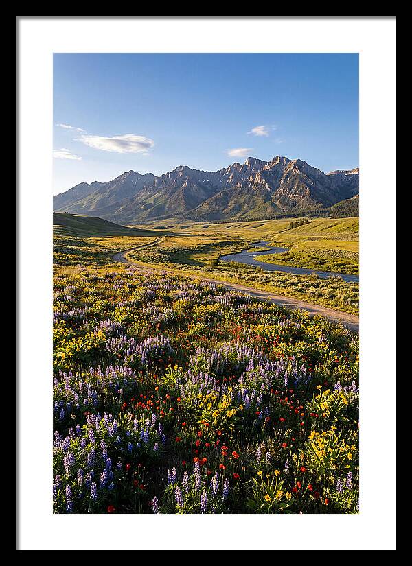 Vibrant Floral Tapestry