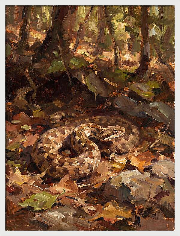 Vibrant Forest Viper