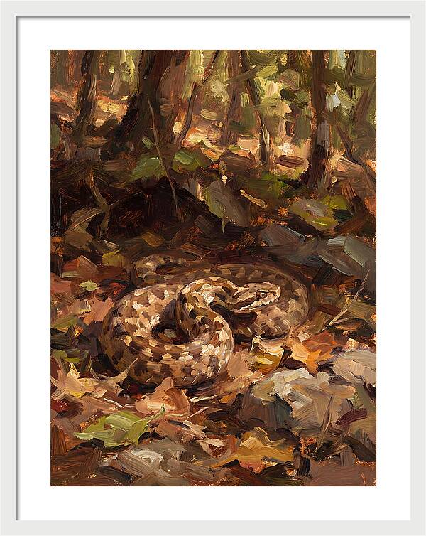 Vibrant Forest Viper