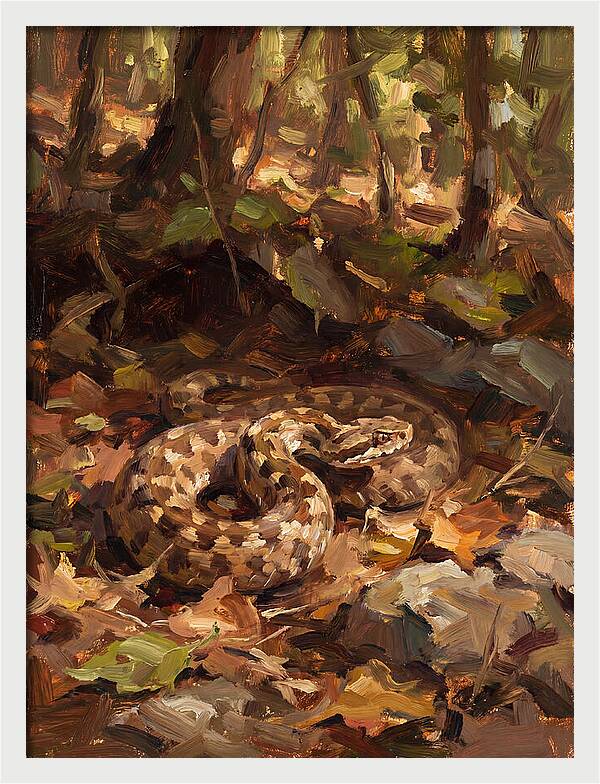 Vibrant Forest Viper