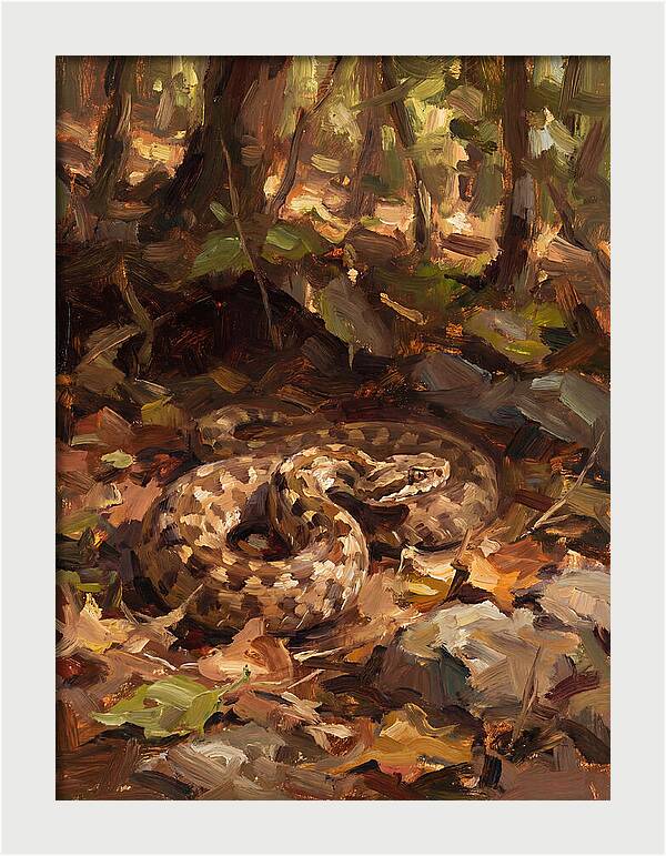Vibrant Forest Viper