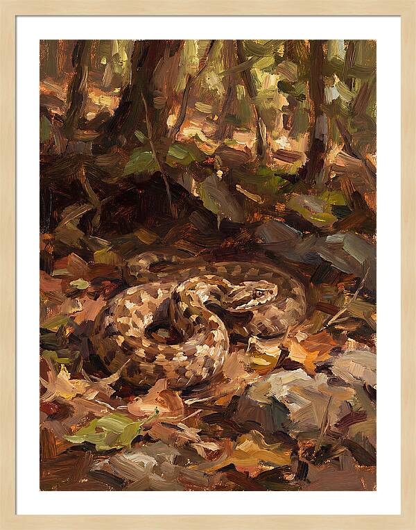 Vibrant Forest Viper