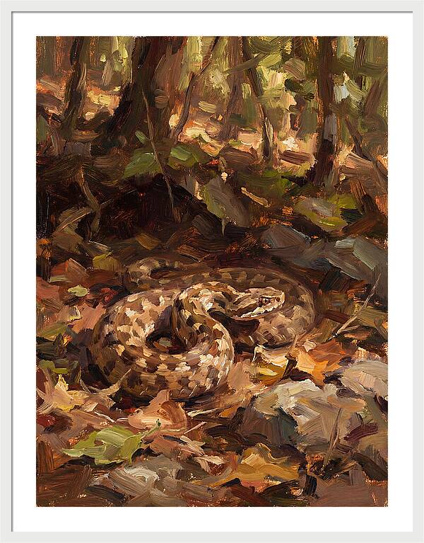 Vibrant Forest Viper