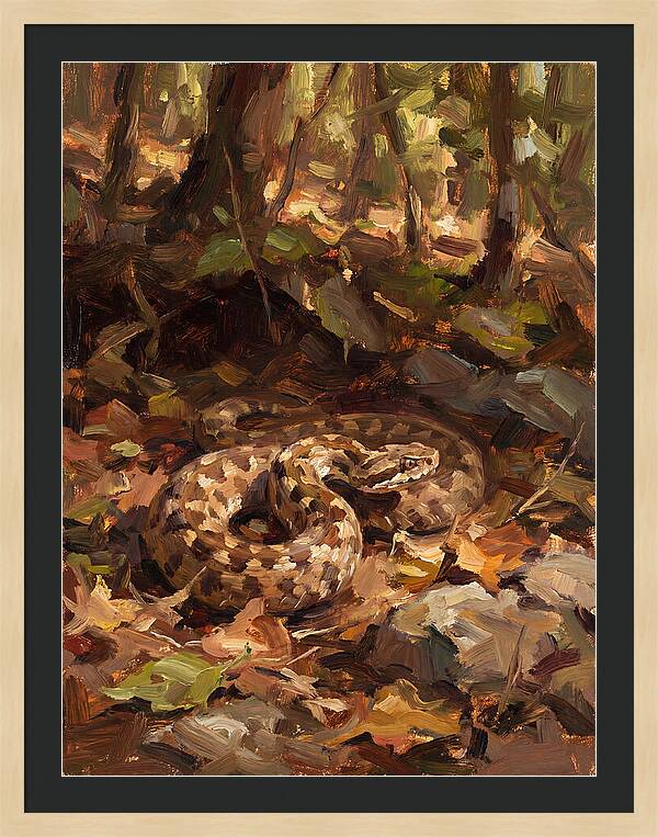 Vibrant Forest Viper