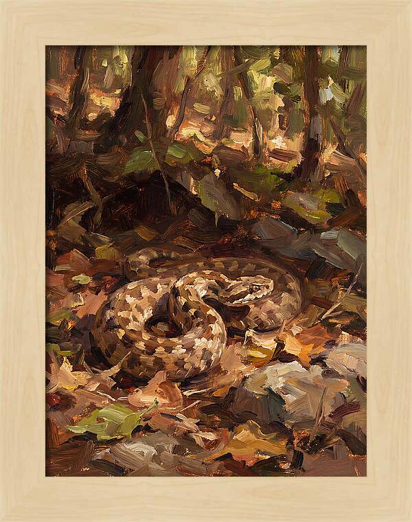 Vibrant Forest Viper