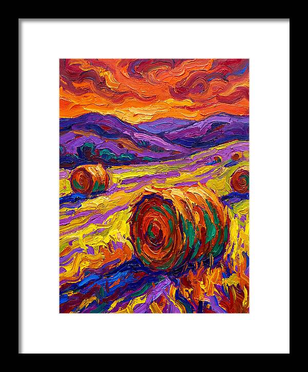 Vibrant Hay Field Landscape
