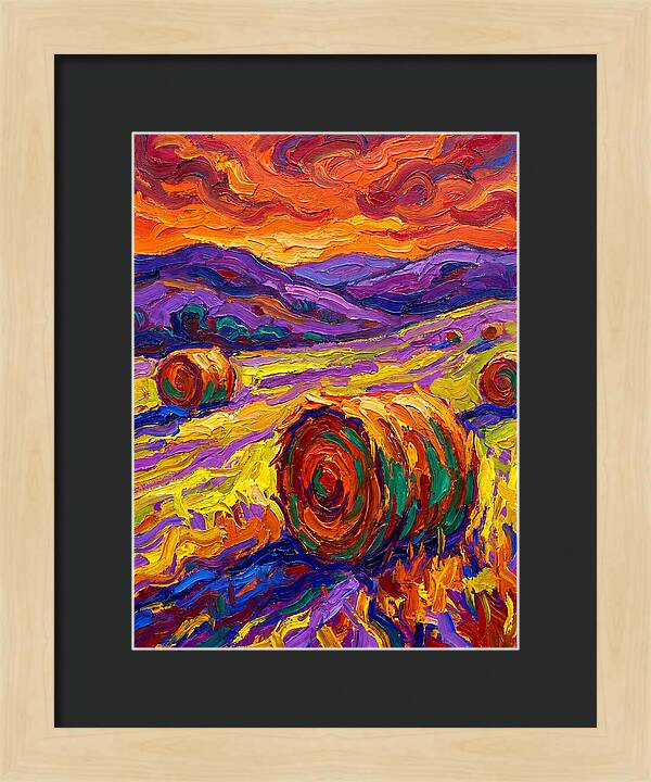 Vibrant Hay Field Landscape