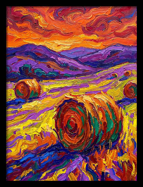 Vibrant Hay Field Landscape
