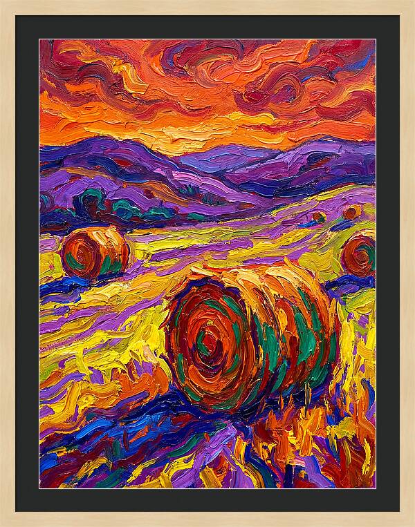 Vibrant Hay Field Landscape